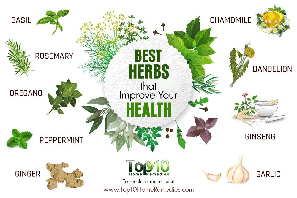 best-herbs-to-improve-your-